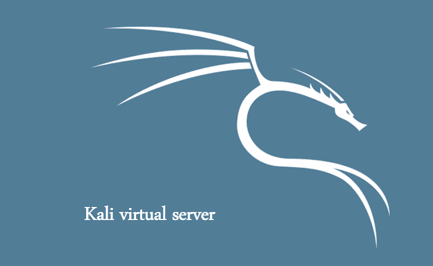 Kali virtual server