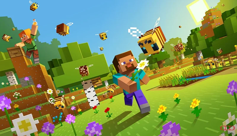 سرور Minecraft چیست؟