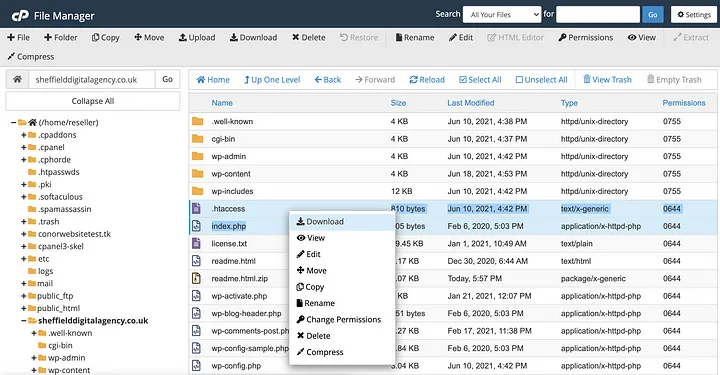 Download-cPanel