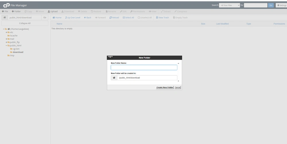 cPanel-download-link-step3