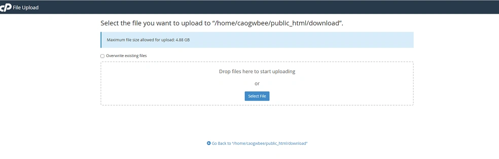 cPanel-download-link-step4