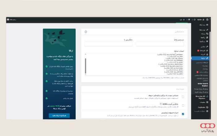 migration-to-host-better-search-replace