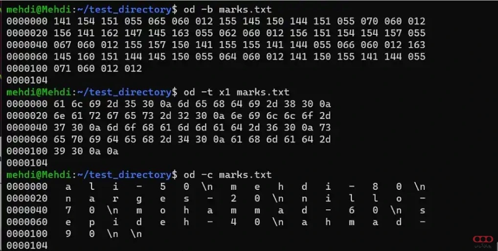 od-یکی-از-پرکاربردترین-دستورات-لینوکسt