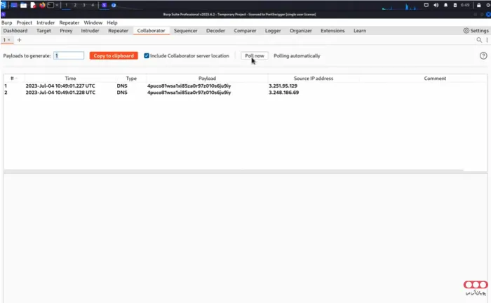 Burp-Suiter-Collaborator