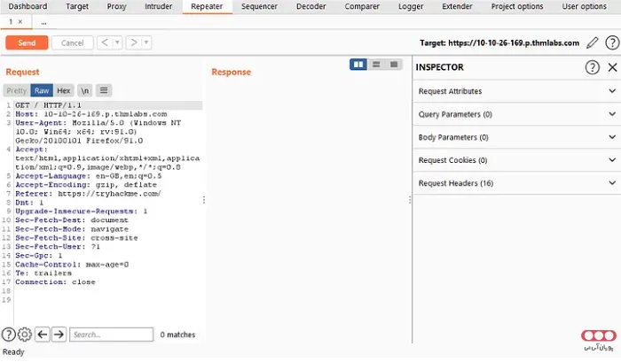 Burp-Suiter-Repeater