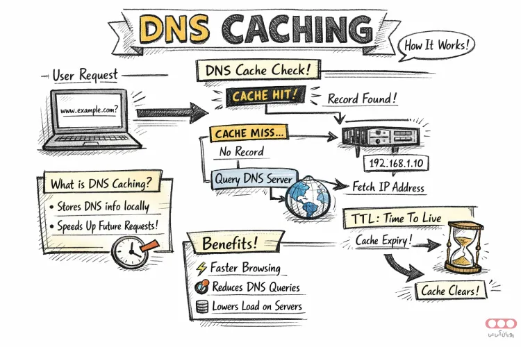 اینفوگرافی کش DNS