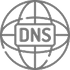 DNS اختصاصی